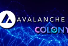 colony coin on avalanch