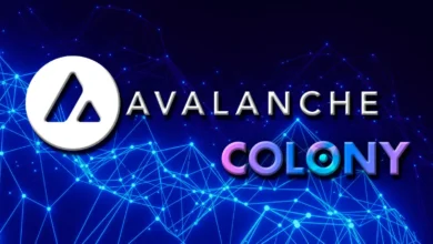 colony coin on avalanch